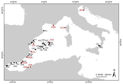 Recruitment Disruption and the Role of Unaffected Populations for Potential Recovery After the Pinna nobilis <mark class="highlighted">Mass Mortality</mark> Event